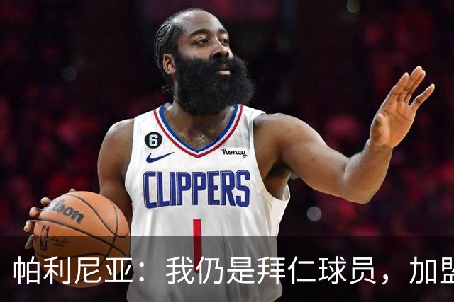帕利尼亚：我仍是拜仁球员，加盟本菲卡未敲定