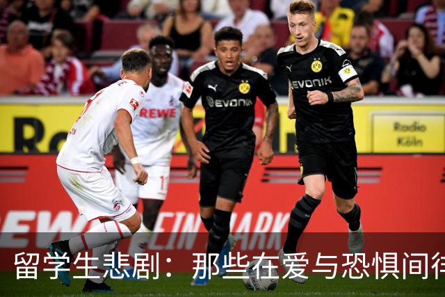 留学生悲剧：那些在爱与恐惧间徘徊的故事